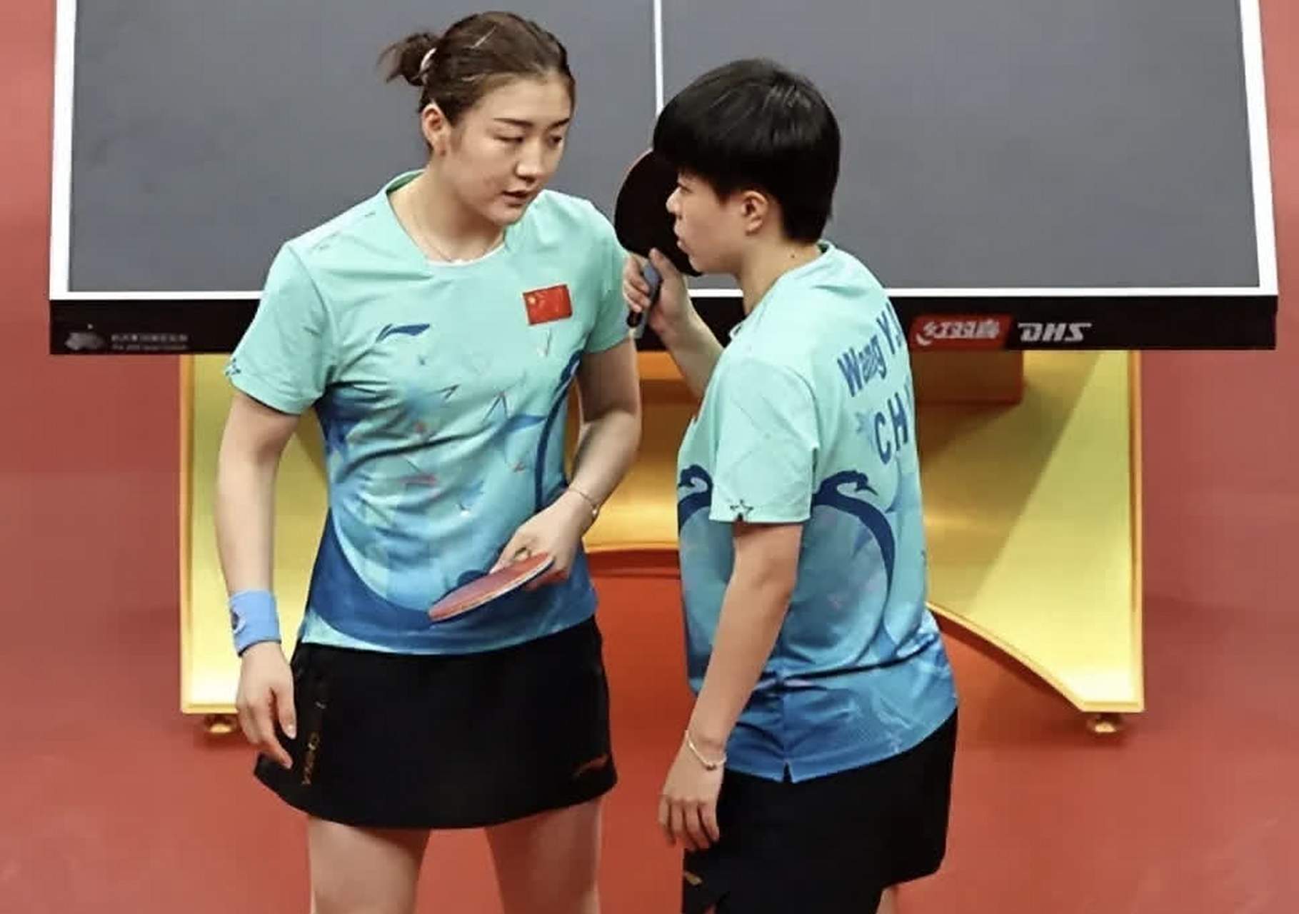 包含中国羽毛球队血洗印度羽毛球队，马琳关键制胜的词条