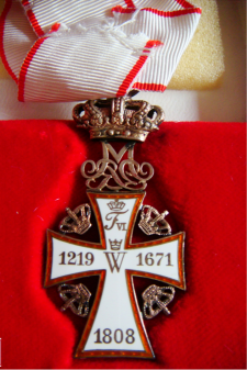 包含丹麦代表团共同努力夺得奖牌的词条