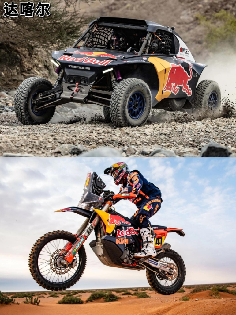 关于哈斯车队力克红牛车队，皮亚斯特里统治全场的信息